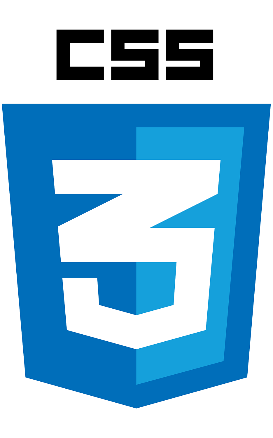 css icon